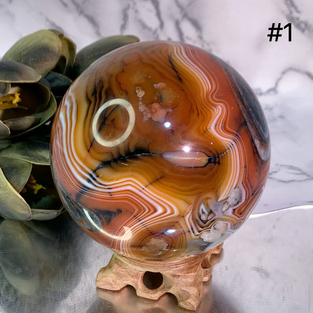 Sphere&Palm – zaiencrystal.com